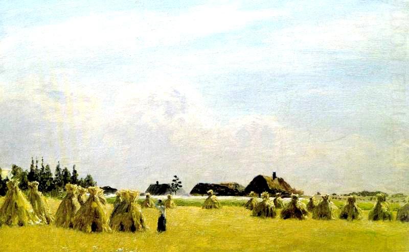 Compressed field, Nikolay Nikanorovich Dubovskoy